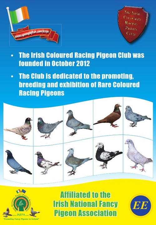 The Irish Coloured Racing Pigeon Club
