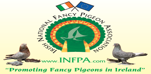The Irish National Fancy Pigeon Association